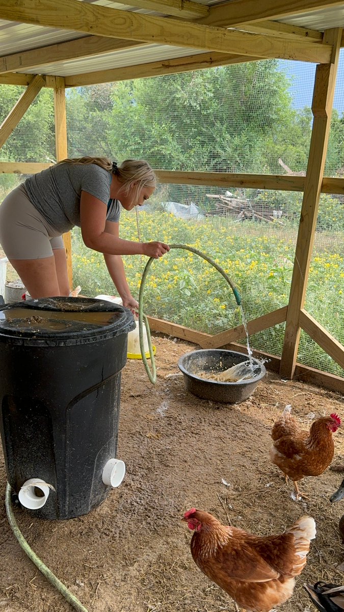 FemaleRancher's tweet photo. Daily task of watering the chickens and ducks! ππ§π¦ What do you use at your farm? π€π #FarmLife #HydrationStation #DuckTales #ChickenChores #WateringTime #FarmFun #PoultryCare #FarmersLife #BackyardBirds #HappyHens #DuckyDays #FeatheredFriends https://t.co/NOKnr008XR