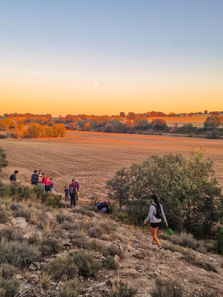 Daniel Espejo Fraga tweet media