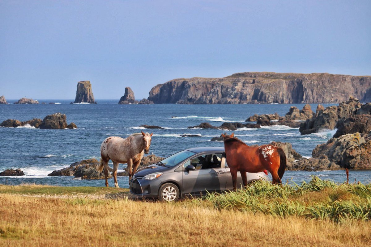 Uh oh!! Lol
I think they’re trying to decide which one on them is going to drive. 🤣