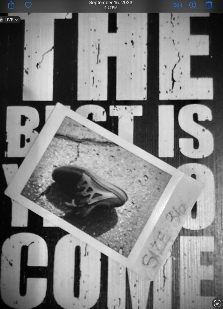 Shanneighteen's tweet image. #RandomStop Feb. 25, 2023 
#Ready ? 
#Michigan=#Israel=#PIPER 
#Day226 
11:47