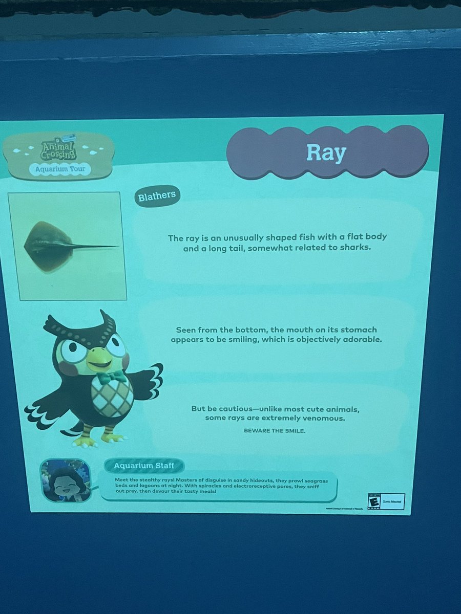 KMckee07's tweet photo. Animal Crossing at the Georgia Aquarium. I was in heaven when I saw this 😁 https://t.co/A1OBBGErY2