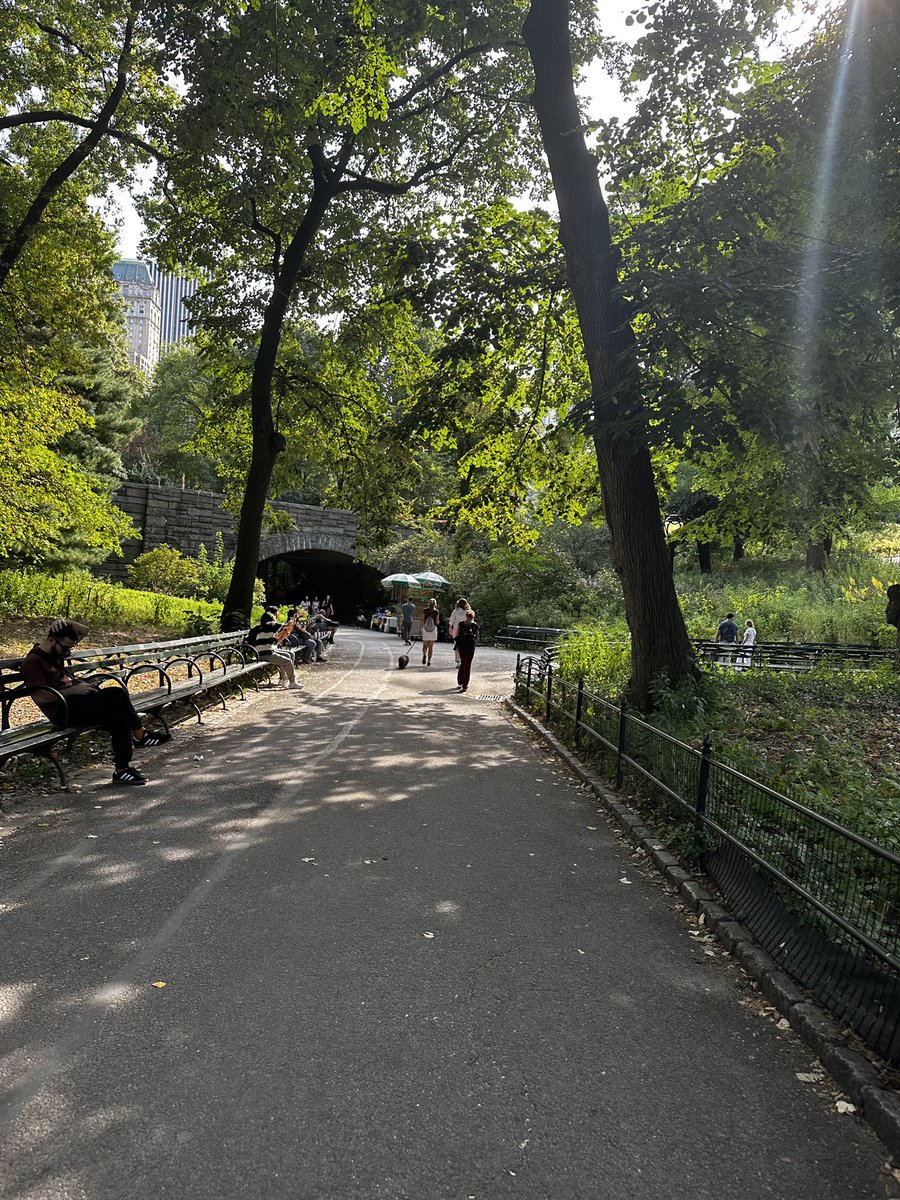 taoleighgoffe's tweet photo. Held my first #ProfGoffe office hours in Central Park today! Highly recommend. π³ not only was it Covid-safe π·but we ended up at the zoo and witnessed these delightful bells π chiming! I β€οΈ NYC. @Hunter_College @afprl https://t.co/ZXYLC8fj5I