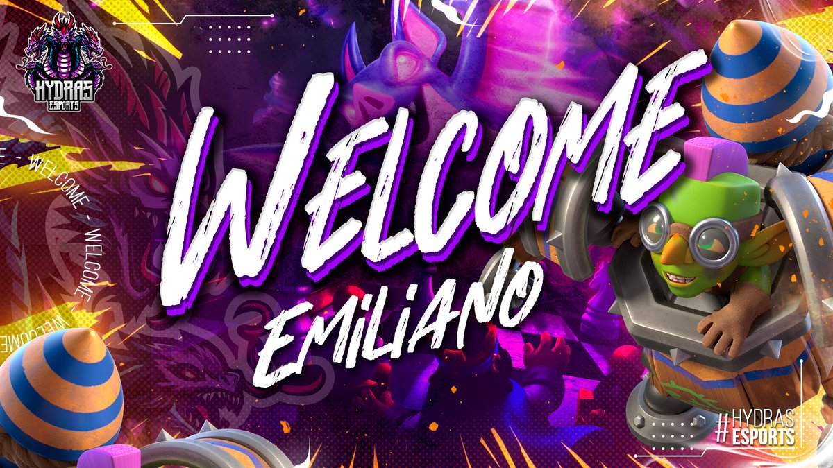 Shaifer Design tweet media