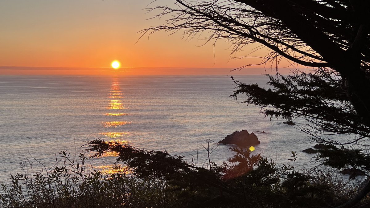 I haven’t been on Twitter much lately but I jumped on just to peruse content today and wow, it is so disappointing what has happened to this platform. Perhaps I’ll check in again after the election. Have a wonderful day all!