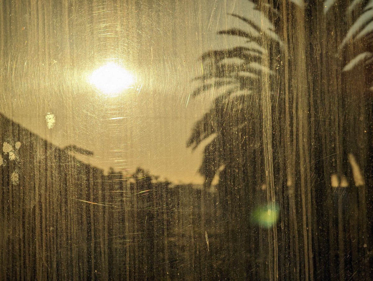 Nomadic Coach tweet media