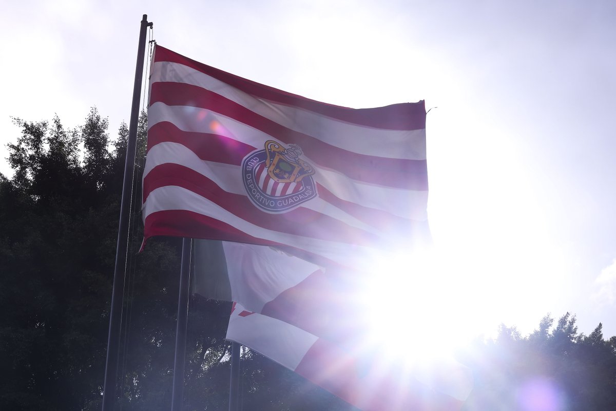 🚨 ¡TENGO PASES DOBLES PARA EL PARTIDO DE ESTE MIÉRCOLES! 🚨

Para participar: 
1️⃣ Da Repost y ❤️
2️⃣ Responde por qué es importante para ti seguir alentando al Rebaño
3️⃣ Usa el HT #DaleRebaño 

Elegiré a los ganadores al azar. ¡Éxito! ✌️