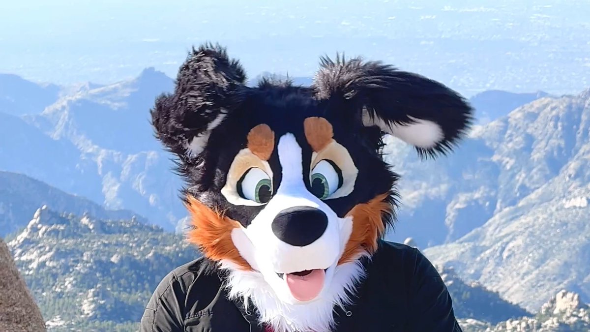 I love him so much and the floppy ears! I'm still trying to decide a name for him. I was thinking something like Booker

Thank you so much!

Suit by: <a href="/StarsentMage/">Starsent</a> 
📷: <a href="/Storm_Coyfolf/">St🅾️rm 🚘 🅱️LFC</a>