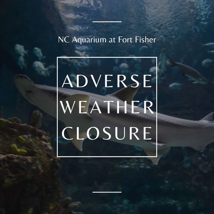 NCAquariumFF's tweet photo. Flooding Closure Update:

For the safety of staff, volunteers and visitors, the Aquarium will remain closed Tues., Sept. 17. Please continue to watch this page for updates and stay safe. https://t.co/p3JvUqqtAg