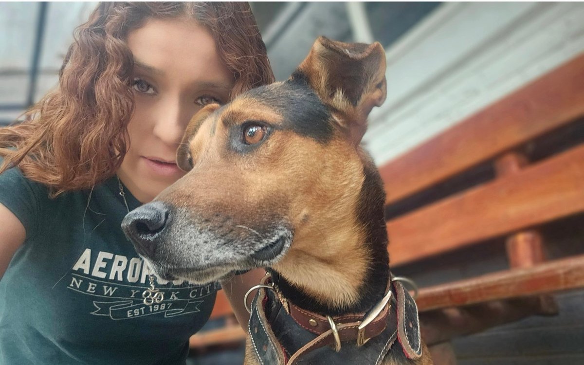 rbksokol's tweet photo. Hace un año, #Cadete apareció en el desfile donde se le veía feliz siendo parte... 3 días después de estarlo buscando, la #BrigadaDeVigilanciaAnimal lo pudo encontrar...
Hoy es parte de la brigada y está en espera de una familia, aunque es feliz siendo perro👮🏻‍♂️
#Cadete🐶🧑‍✈️ https://t.co/ntkZUHTD1m