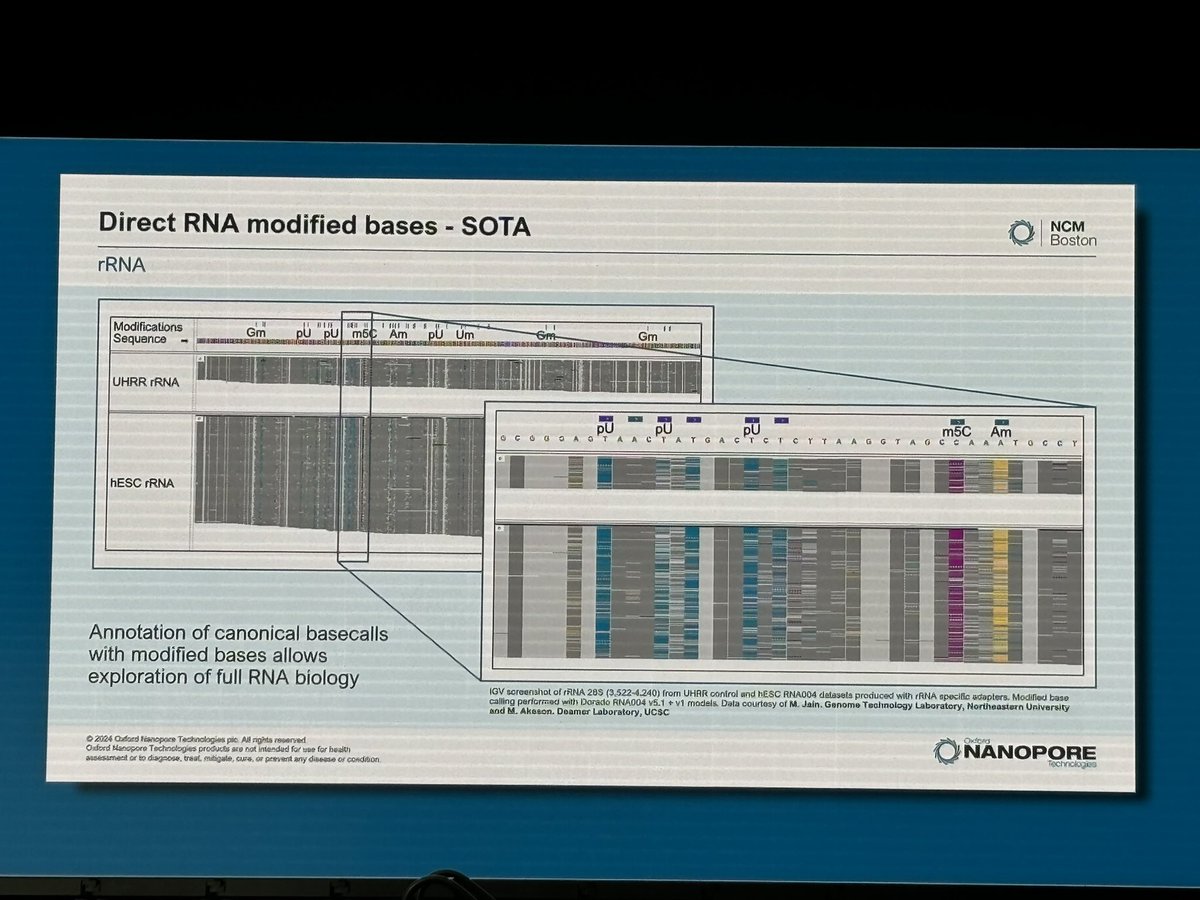 Marcus Stoiber tweet media