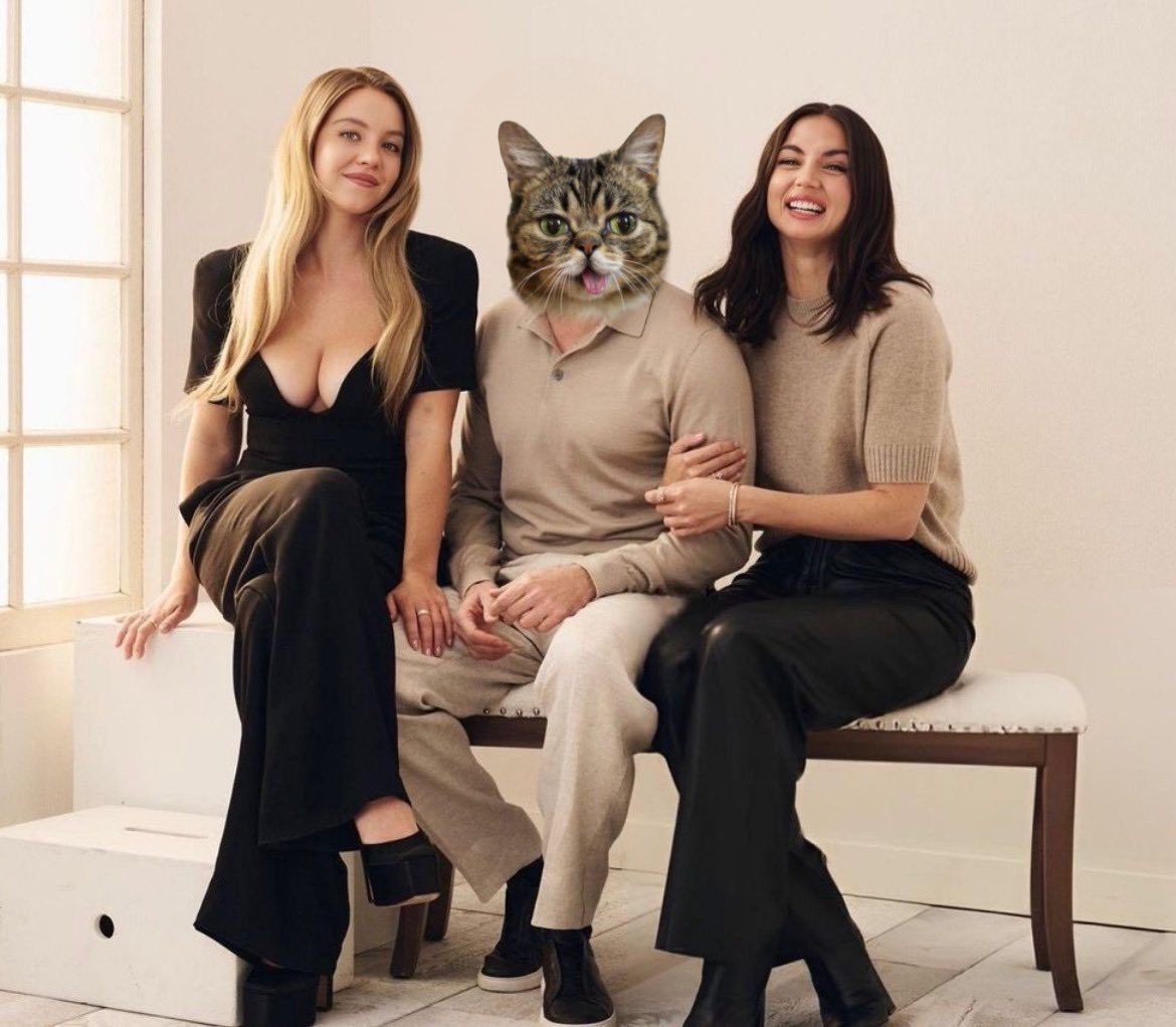 Lil Bub 👁👅👁 (Parody) tweet media