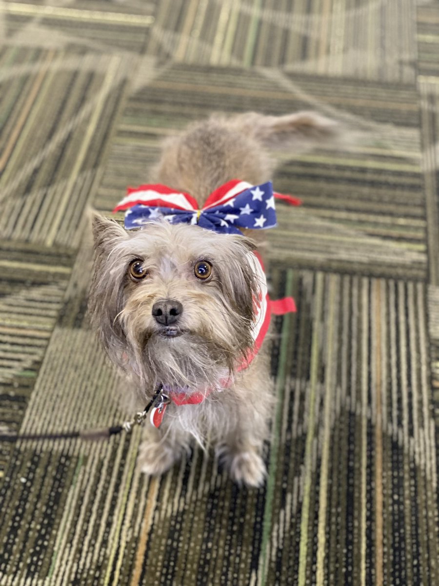 Reno-Tahoe Int’l Airport tweet media