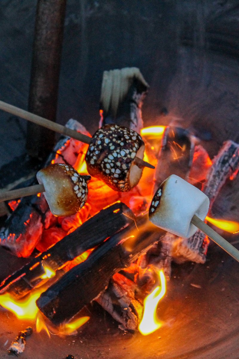 ACE Voices tweet media