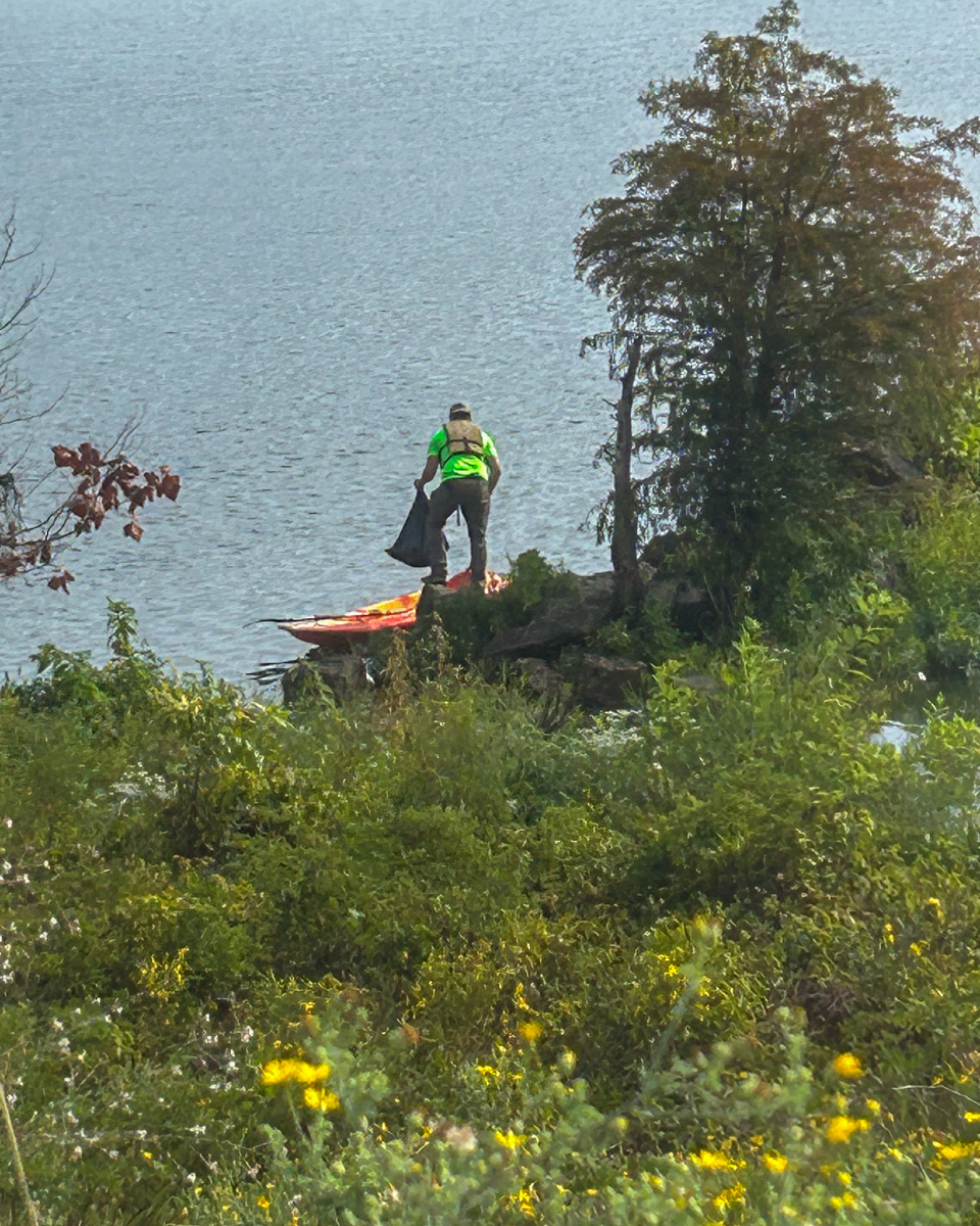 Seal Solar tweet media