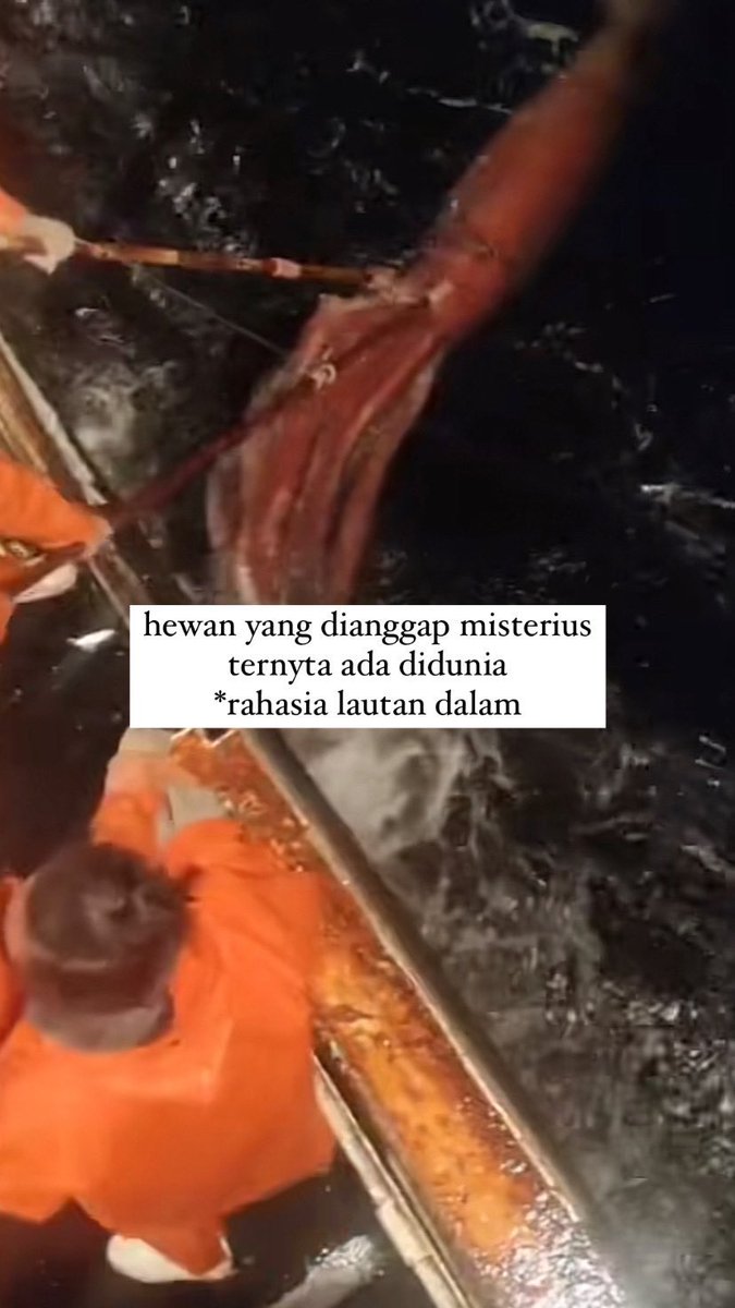 kekocakandunia's tweet image. penampakan hewan misterius laut dalam ternyata real! 💯

- a thread -