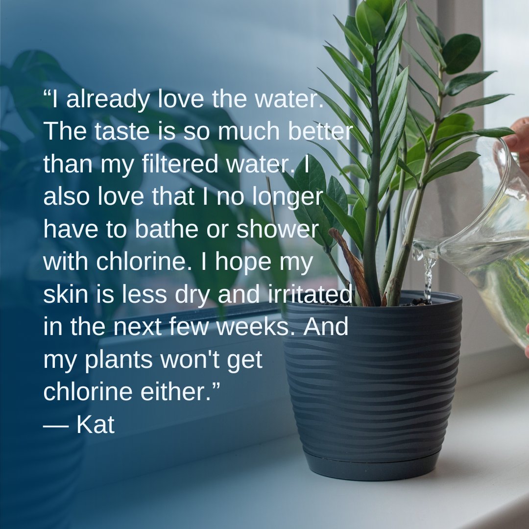 Give the best to your family and your plants! 🌱

We remove bacteria and chemicals commonly found in tap water, providing you with cleaner, healthier water for cooking, showering, and drinking.🦠

#cleanwater #watertreatment #saskwater #saskatchewan