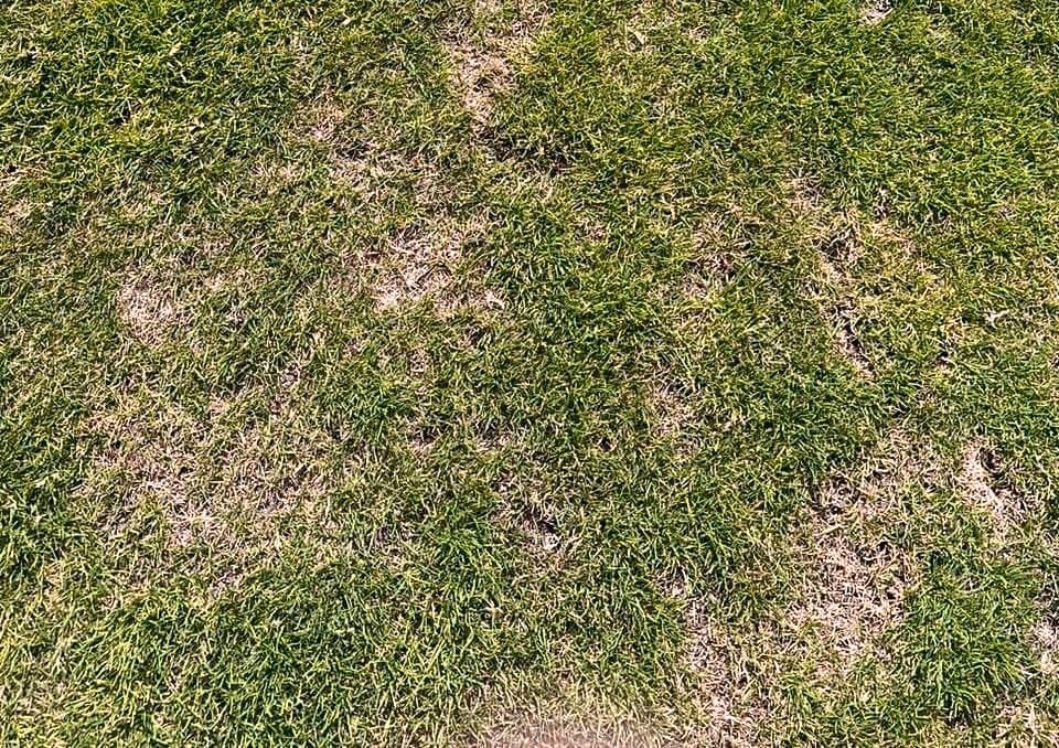 marceloclaure's tweet photo. Entiendo que hay otras prioridades pero queremos que el Siles 🏟️ tenga una cancha de la misma calidad que los mejores estadios del mundo. Por esto, pongo a disposición del gobernador @wayna_mallku nuestro equipo de Ananta para realizar el mantenimiento del césped sin costos adicionales para la Gobernación de La Paz.

Juntos 💪 y en espíritu de colaboración podemos llevar el fútbol de Bolivia a otro nivel!