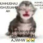 <a href="/iAlxxz/">iAlxz</a> es el mejor jugador de uhc y no acepto criticas🔥🗣‼️