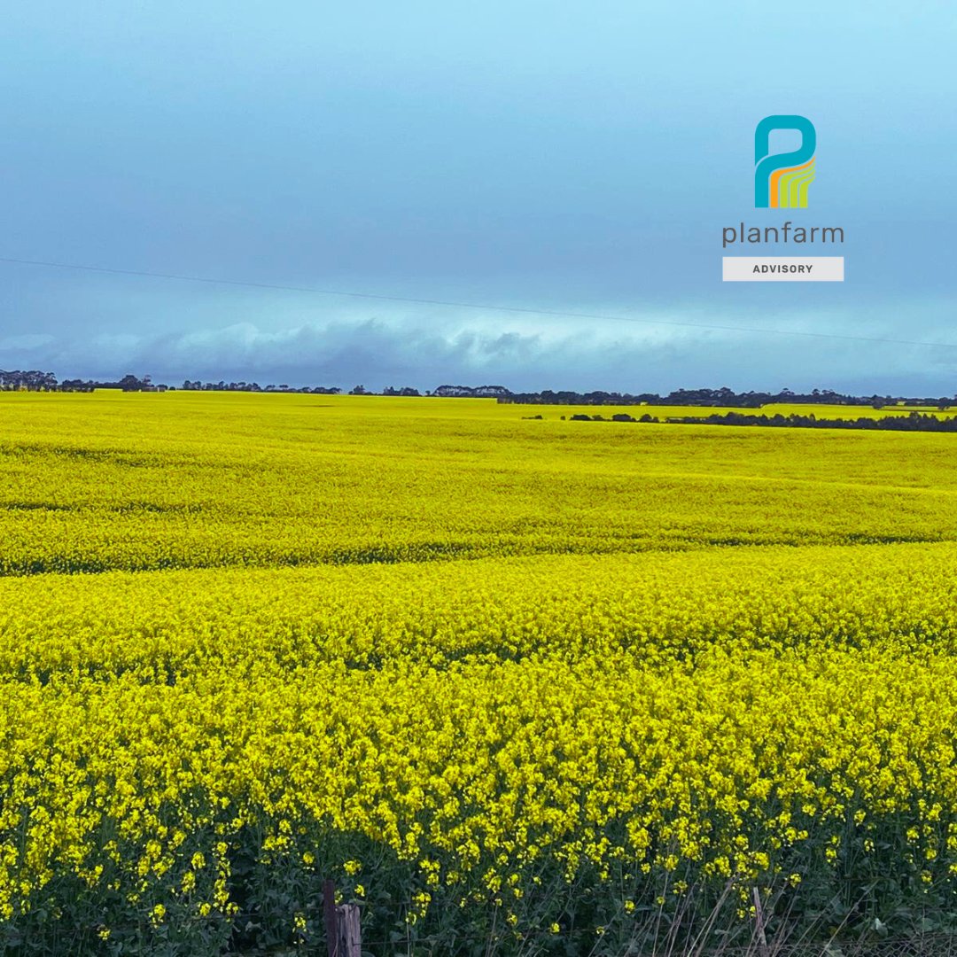 Planfarm Advisory tweet media