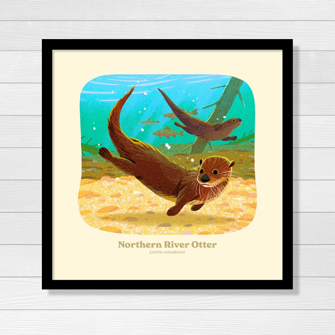 River Otters are able to close their nostrils when they dive underwater! Artwork from our <a href="/NatlParkService/">National Park Service</a> Animal Alphabet Print Series made with <a href="/Kimdraws/">Kim Smith</a>! #59ps #ourparks #NationalParks