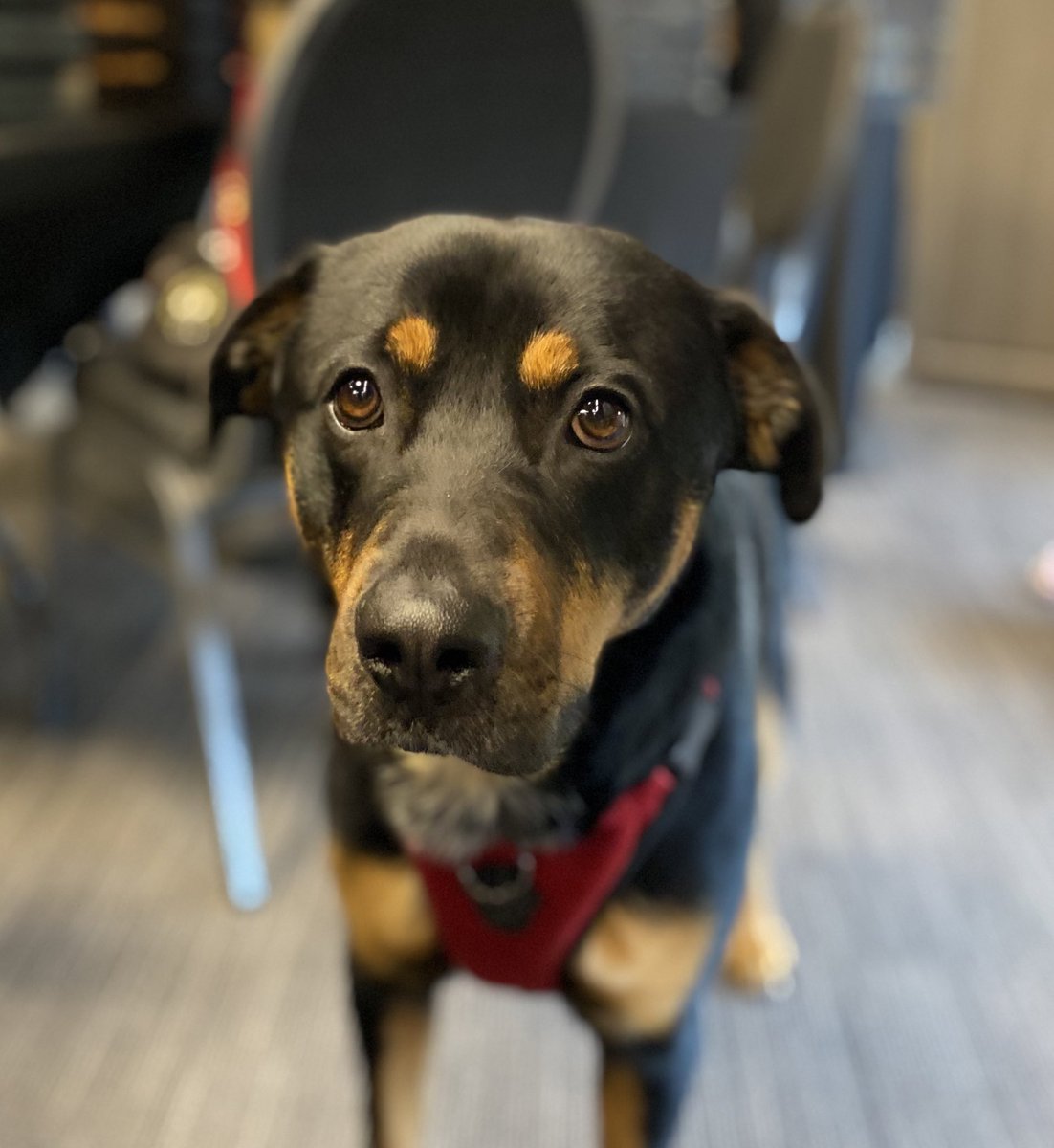 Jen Albert tweet media