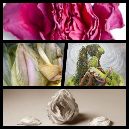 Thirsty Down There? How Dehydration, Stress and Medication Impacts Your Vaginal Health. Fall in Love, Lust and Like with Free Shipping for any order $25 or more with coupon code: FALLINLOVE  - mailchi.mp/organicloven/w…