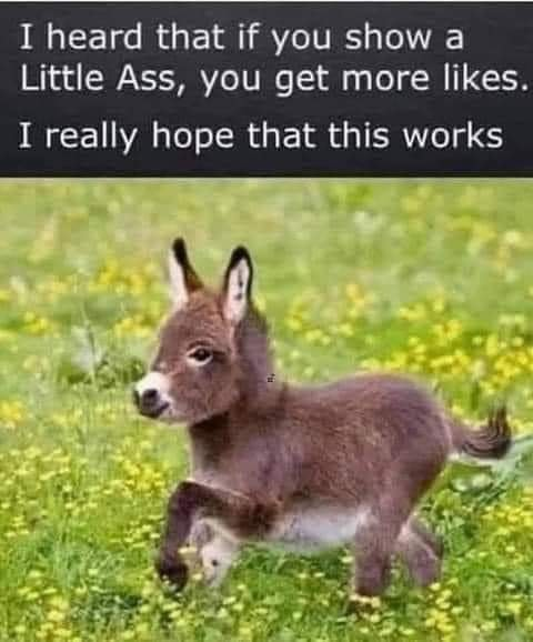 Matt Irvine tweet media