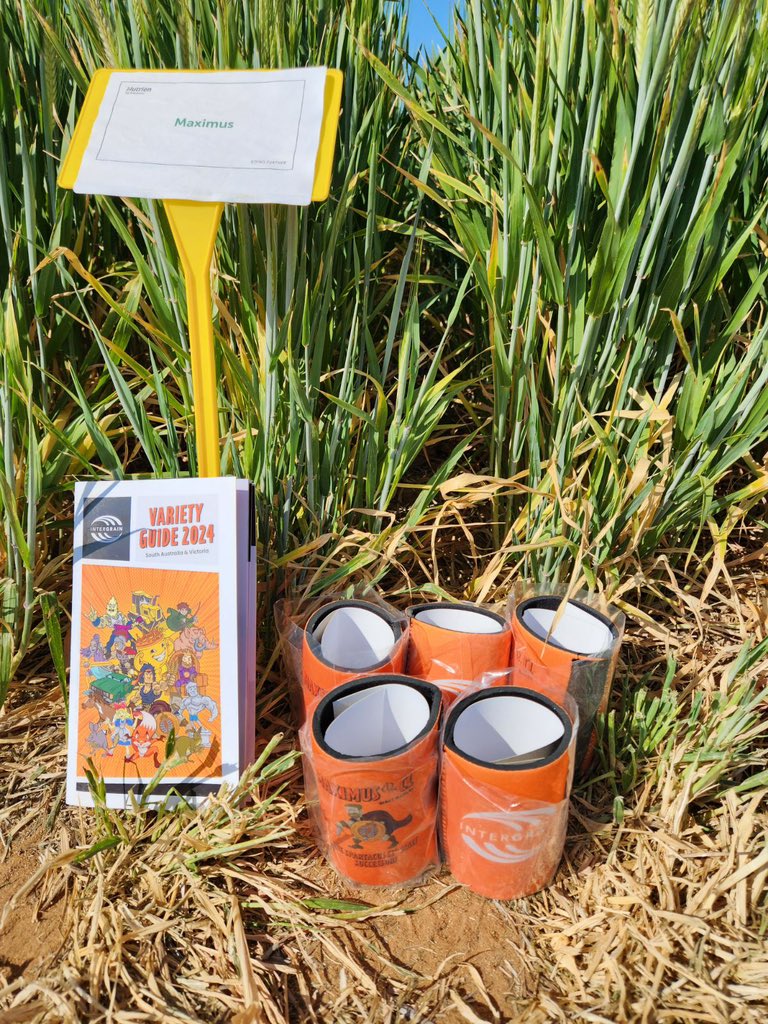 InterGrain tweet media