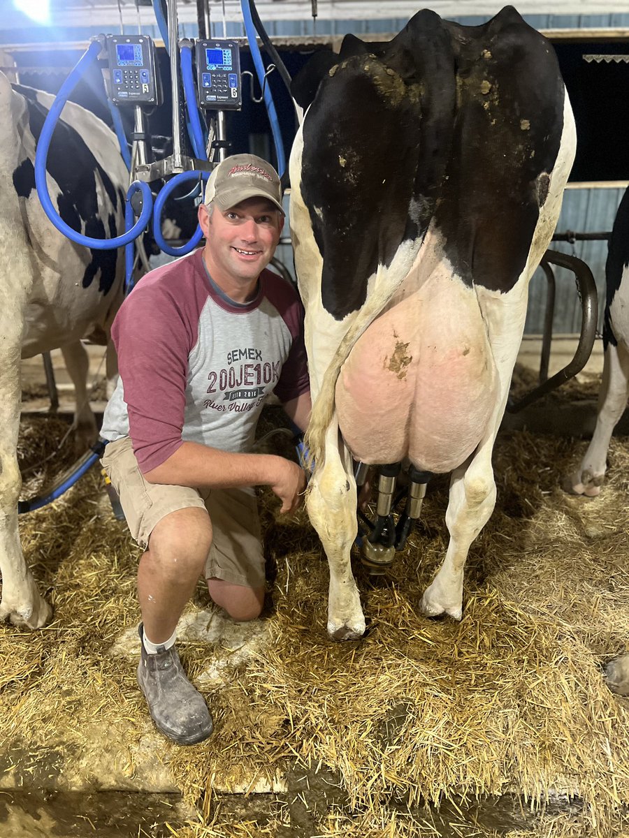 The final cow that I will milk in our tiestall barn. The herd is off to a couple willing host farms for a while as we do a retrofit for a couple <a href="/DairyRobot/">Lely North America</a> ‘s. 
Big exciting changes but still a little nerve wracking 
#everythingsgoingtobeallright