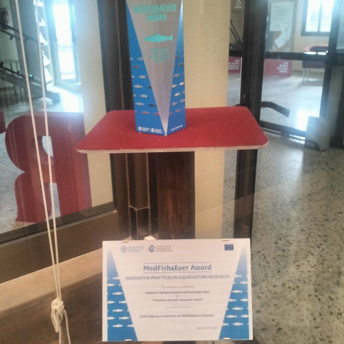 Hadeer Elkhouly (@hadoraamer) on Twitter photo Exploring IRTA La Rápita was a real eye-opener into how we can make aquaculture more sustainable and effective with different systems like IMTA and aquaponics! With projects like #Fish4Med and advancements in RAS supported by <a href="/UN_FAO_GFCM/">General Fisheries Commission for the Mediterranean</a> 🌊 🩵
#WomenInAquaculture Exploring IRTA La Rápita was a real eye-opener into how we can make aquaculture more sustainable and effective with different systems like IMTA and aquaponics! With projects like #Fish4Med and advancements in RAS supported by <a href="/UN_FAO_GFCM/">General Fisheries Commission for the Mediterranean</a> 🌊 🩵
#WomenInAquaculture
