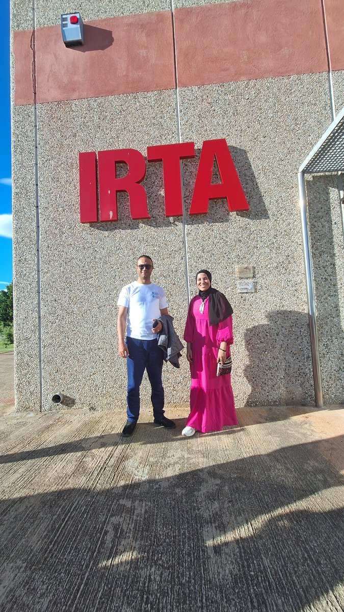 Hadeer Elkhouly tweet media