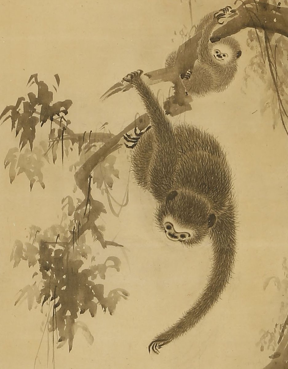 こちらは、江戸中期に活躍した画家 望月玉蟾（1692-1755）の「月に手長