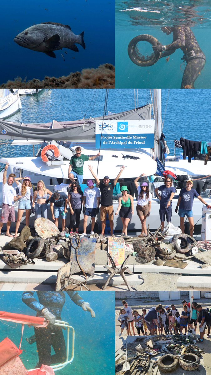 🤿☘️ Dépolluer et Observer les Calanques en Apnée ☘️🤿

L'association d'apnéistes éco-engagé·es Team Oxygen s'apprête à lancer la 3e édition de son opération Sentinelle. 

Du 28/09 au 6/10, de Montredon à Cassis, c'est en partenariat avec le <a href="/ParcCalanques/">Parc national des Calanques</a> <a href="/citeofrance/">Citeo</a>
