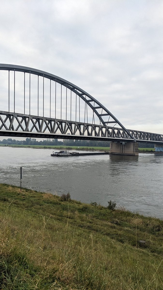 Klassischer Montag...
www1.wdr.de/nachrichten/rh…
<a href="/WDR/">WDR</a> <a href="/WDRaktuell/">WDR aktuell</a> #MondayMood