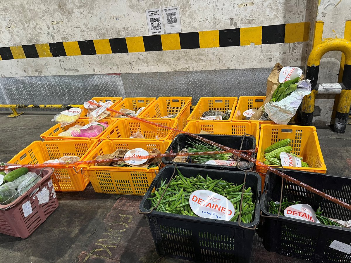 Singapore Food Agency (SFA) (@sgfoodagency) on Twitter photo SFA has seized around 280kg of produce during a joint operation with <a href="/ICA_singapore/">ICA Singapore</a>. Investigations are ongoing.
go.gov.sg/illegalveg17se… SFA has seized around 280kg of produce during a joint operation with <a href="/ICA_singapore/">ICA Singapore</a>. Investigations are ongoing.
go.gov.sg/illegalveg17se…