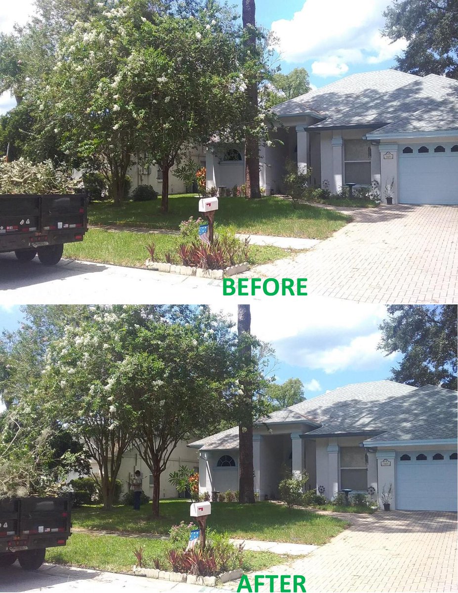 MooreCutsFL's tweet photo. A lush yard is just a trim away! Let the beauty of your trees shine with our expert tree-trimming services that breathe new life into your landscape. Call 813-553-TREE to schedule your service today. https://t.co/6LEqmABsi0