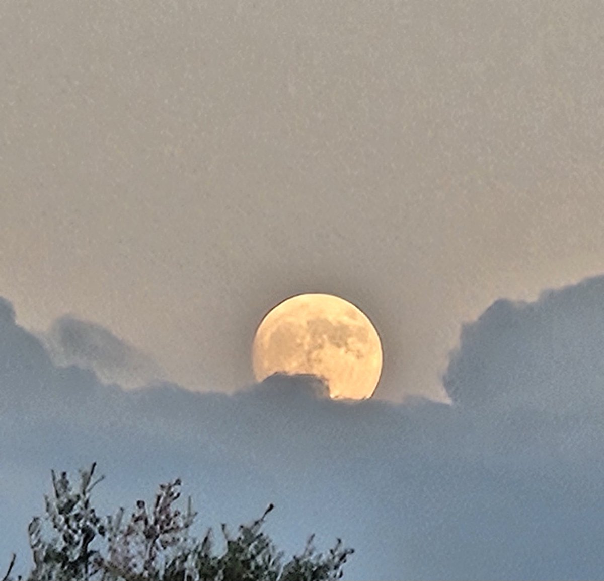 This evening, a nice moon rising over a cloud bank. 😃