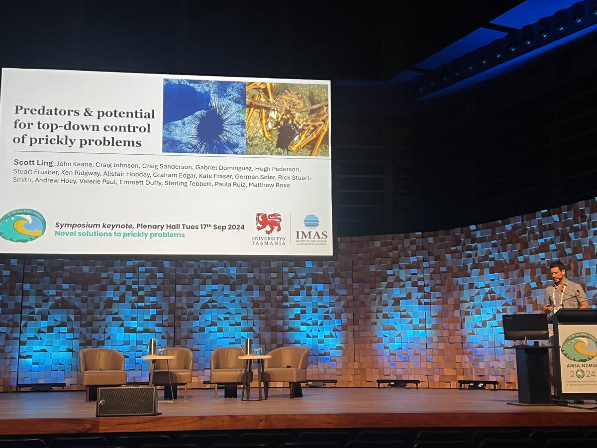 paulimim's tweet photo. Just attended an incredible talk by @ScottDLing at @AMSAconf He discussed the fascinating role of predators in exerting top-down control on long-spine urchins and the potential to restore balance in marine ecosystems. Truly eye-opening! 🌊 @IMASUTAS #Temperatereef #UrchinControl https://t.co/2XX8Kb6IR4