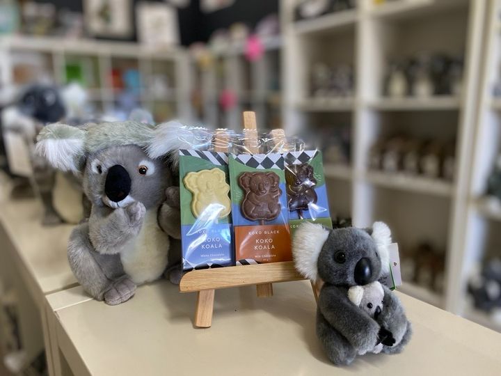 savethekoala's tweet photo. Celebrate Save the Koala Month by grabbing some #kokoblack Koala Pops from our shop in Warialda, EXCLUSIVE for Save the Koala month!
Not only are these chocolates incredibly tasty, but every purchase helps us in our mission to save koalas. 🐨🍫
#STKM #savethekoala https://t.co/kECqY4l8UE