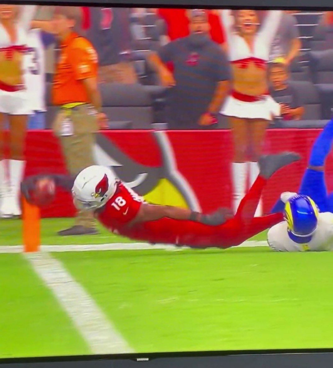 This picture could feed families for generations