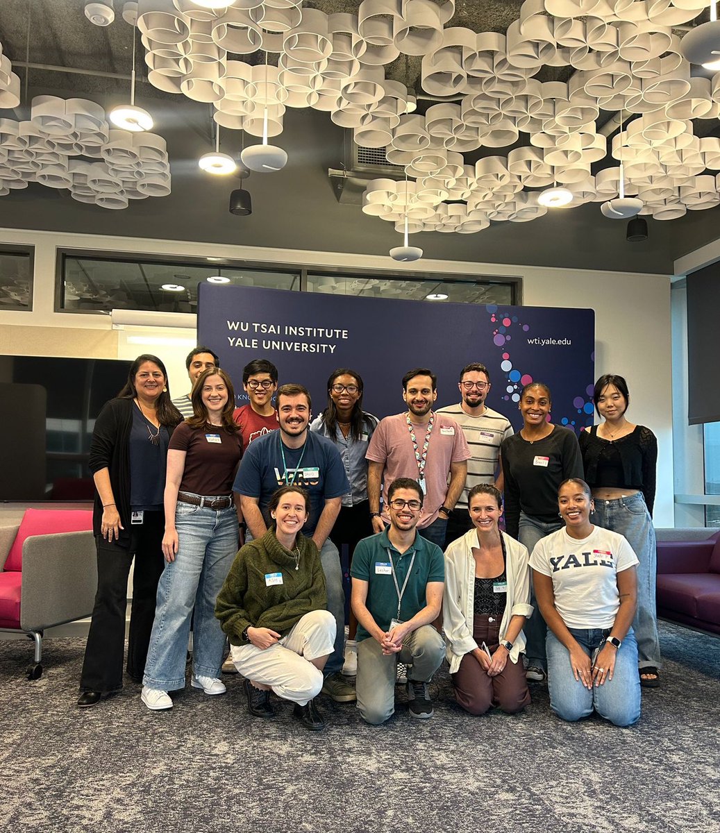 David Meseguer tweet media