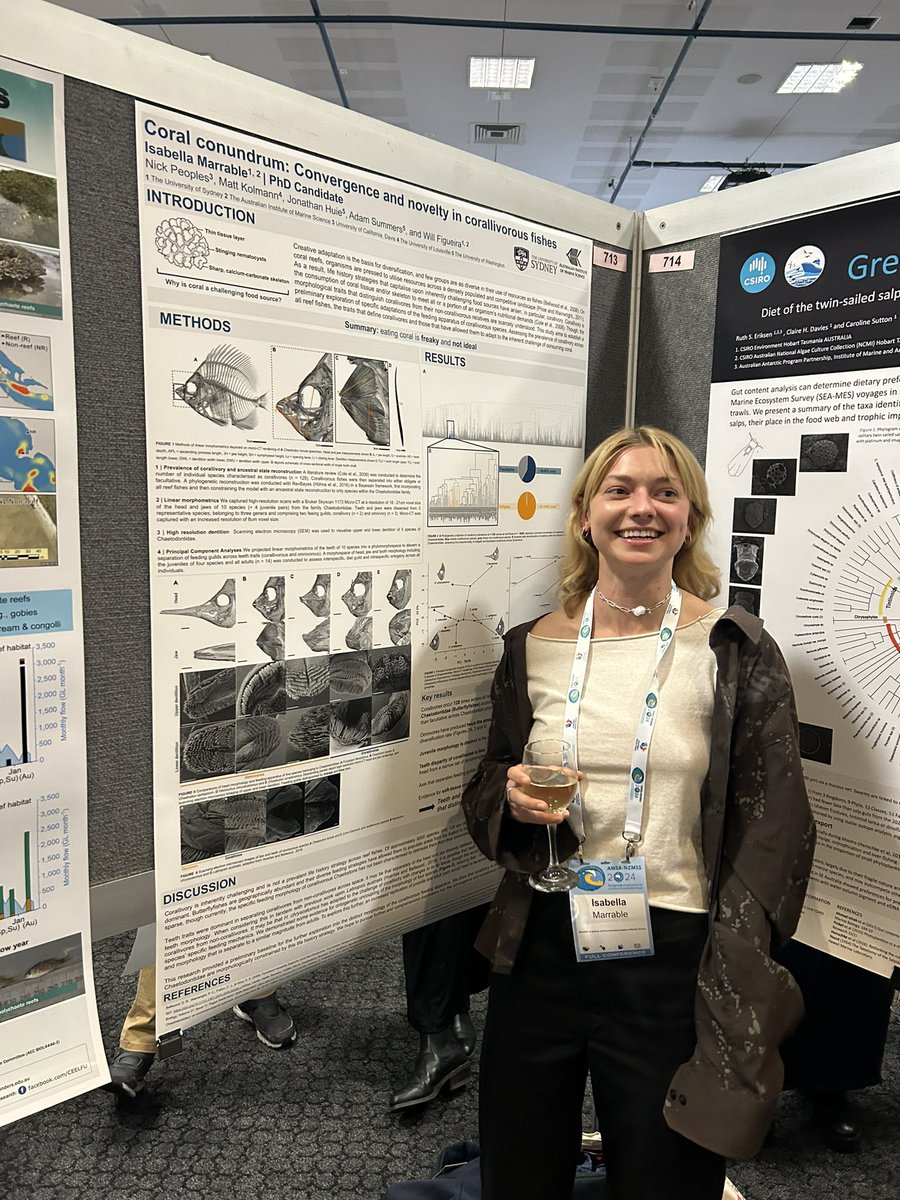 Will Figueira tweet media