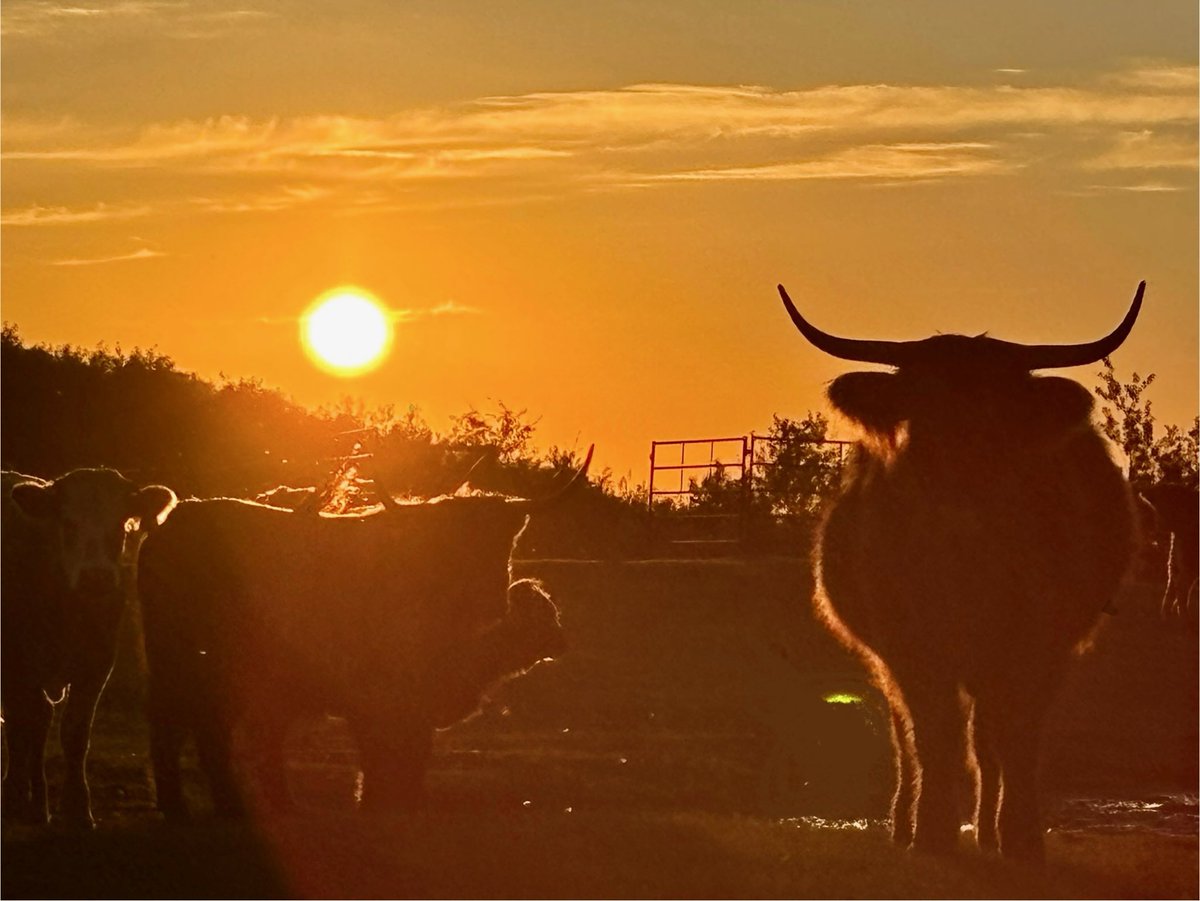 Every sunset is unique