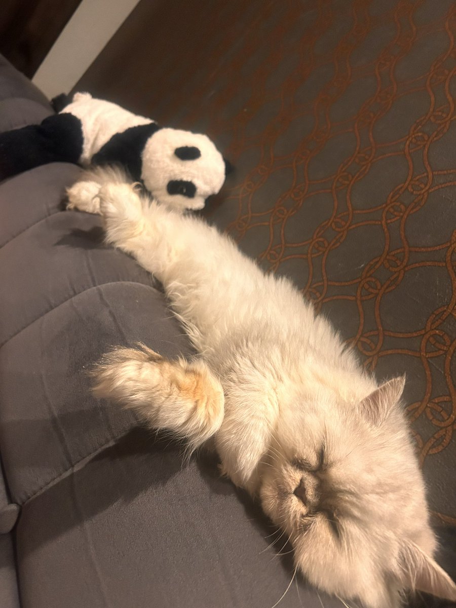 Zrx400_mods's tweet photo. うちの子が1番 https://t.co/ZwnugGxAzG