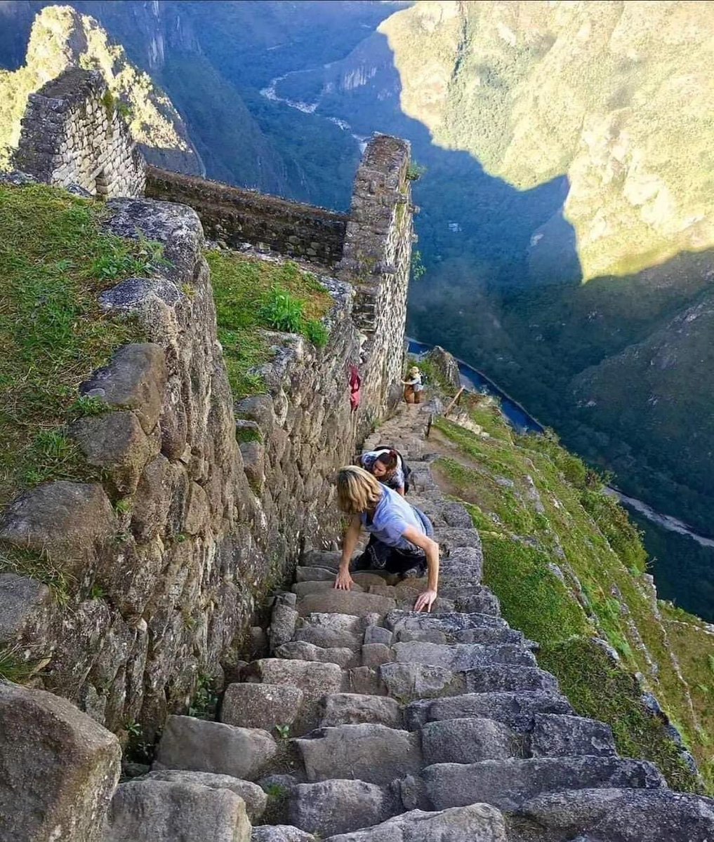 InformaCosmos's tweet photo. Subida a Huayna Picchu, una de las mejores caminatas del mundo 🌎

La montaña Huayna Picchu es la que aparece detrás de la Ciudad Inca, se muestra como telón de fondo en la clásica foto postal de Machu Picchu.

Ascender por el Waynapicchu es considerado una de las mejores caminatas cortas del planeta. 

Una caminata difícil...

Para llegar se debe caminar aproximadamente 2 kilómetros desde su ingreso hasta la cima del Huayna Picchu. La ruta es por caminos estrechos y cercanos a barrancos.

Para muchos a primera vista parecerá una subida imposible de hacer. Está permitido que un máximo de 400 personas por día puedan subir. Aunque la dificultad es relativamente alta, valdrá la pena cada segundo, cada gota de sudor se compensará con asombro. 

Al ingresar a Machu Picchu, la belleza de la Ciudad Inca te deja sin aliento. Sin embargo, subir a Huayna Picchu por esta empinada y vertiginosa ruta, y ni hablar de la vista desde la cima, hará que la experiencia sea aún más icónica. 

¿Algún valiente de aquí que haya llegado a la cima?