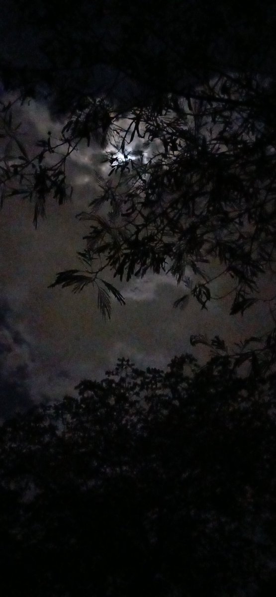 TatisGoAl's tweet photo. @InformaCosmos Neiva 🥰 https://t.co/mQHSk1UWRb