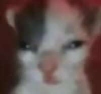 俺没有魔法——堆堆之前的图！……