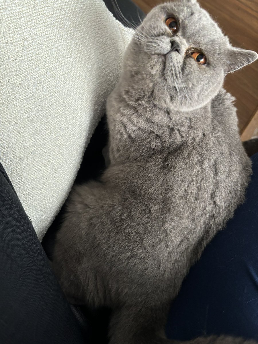 Umm stop working pls! Those eyes ❤️