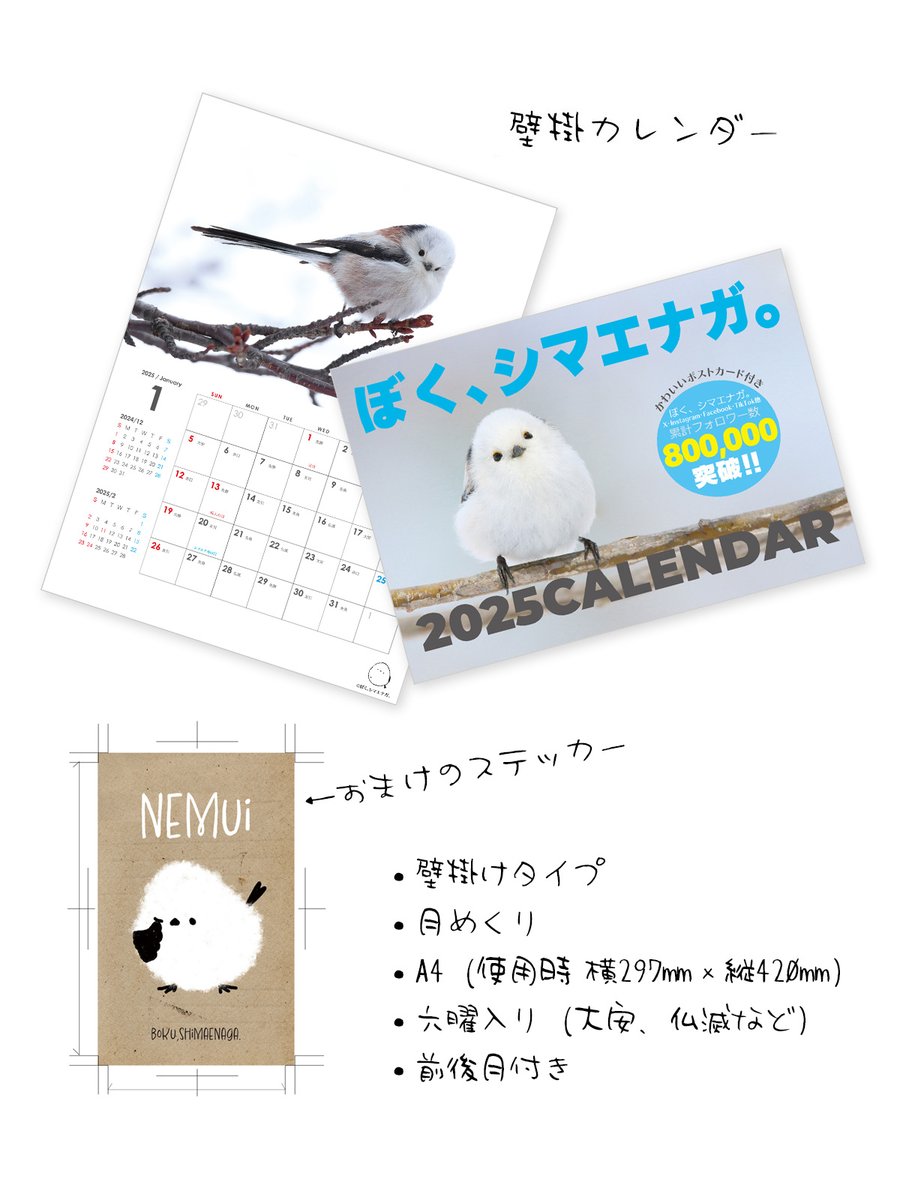 ぼく、シマエナガ。 on X