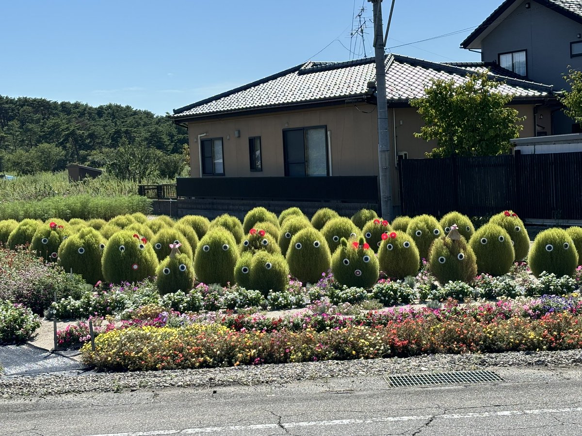 おれんじぶぅ tweet media